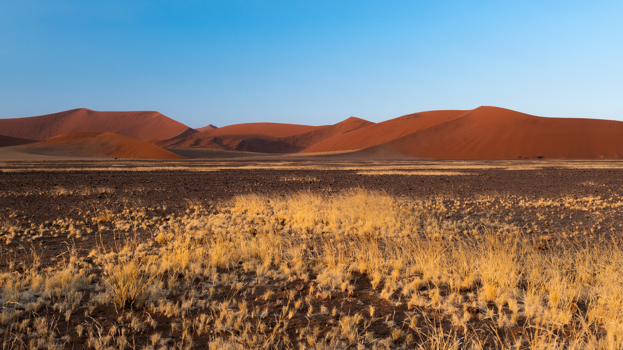 namibia duene pan