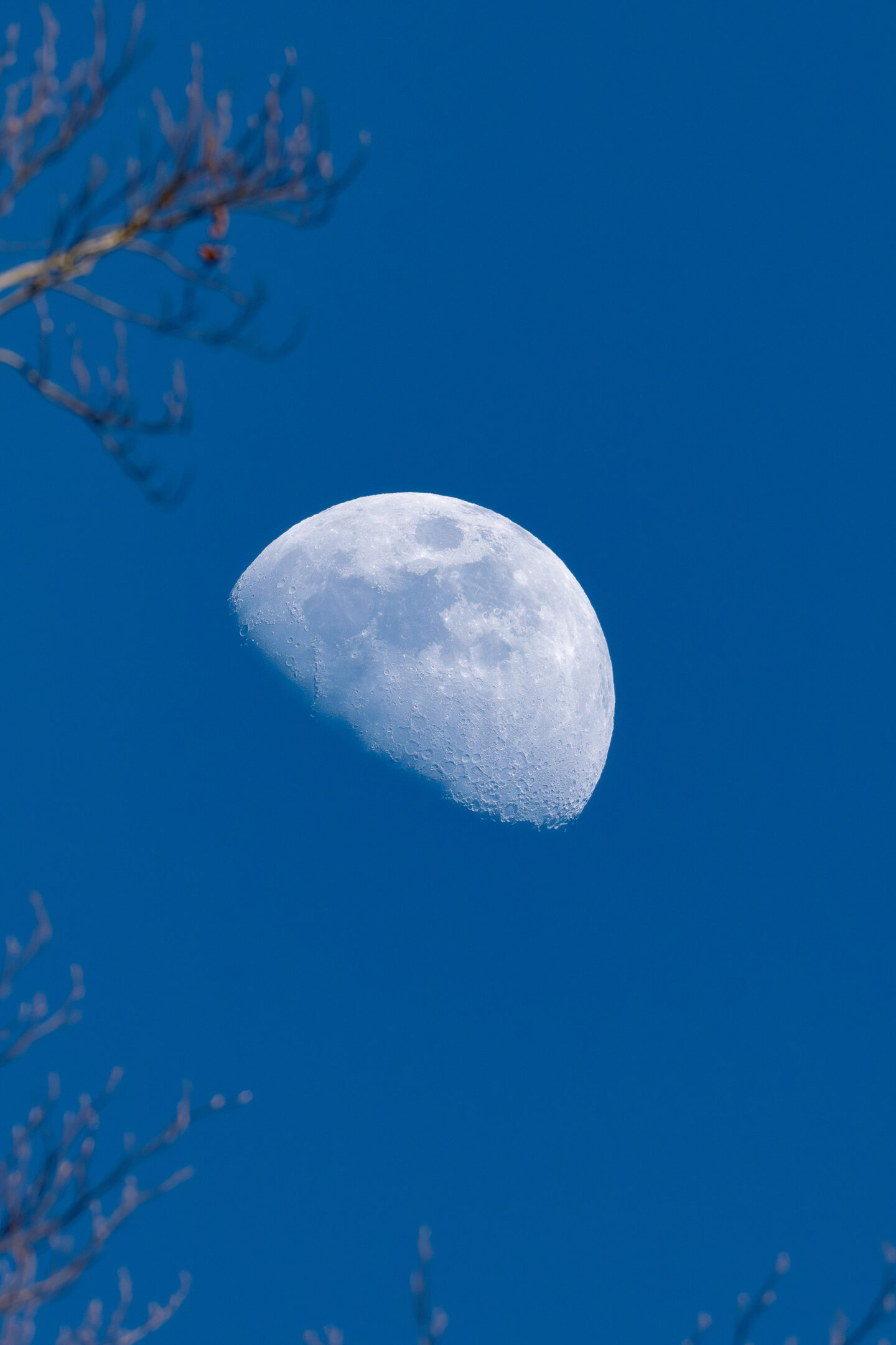 Mond in Oberterzen 4